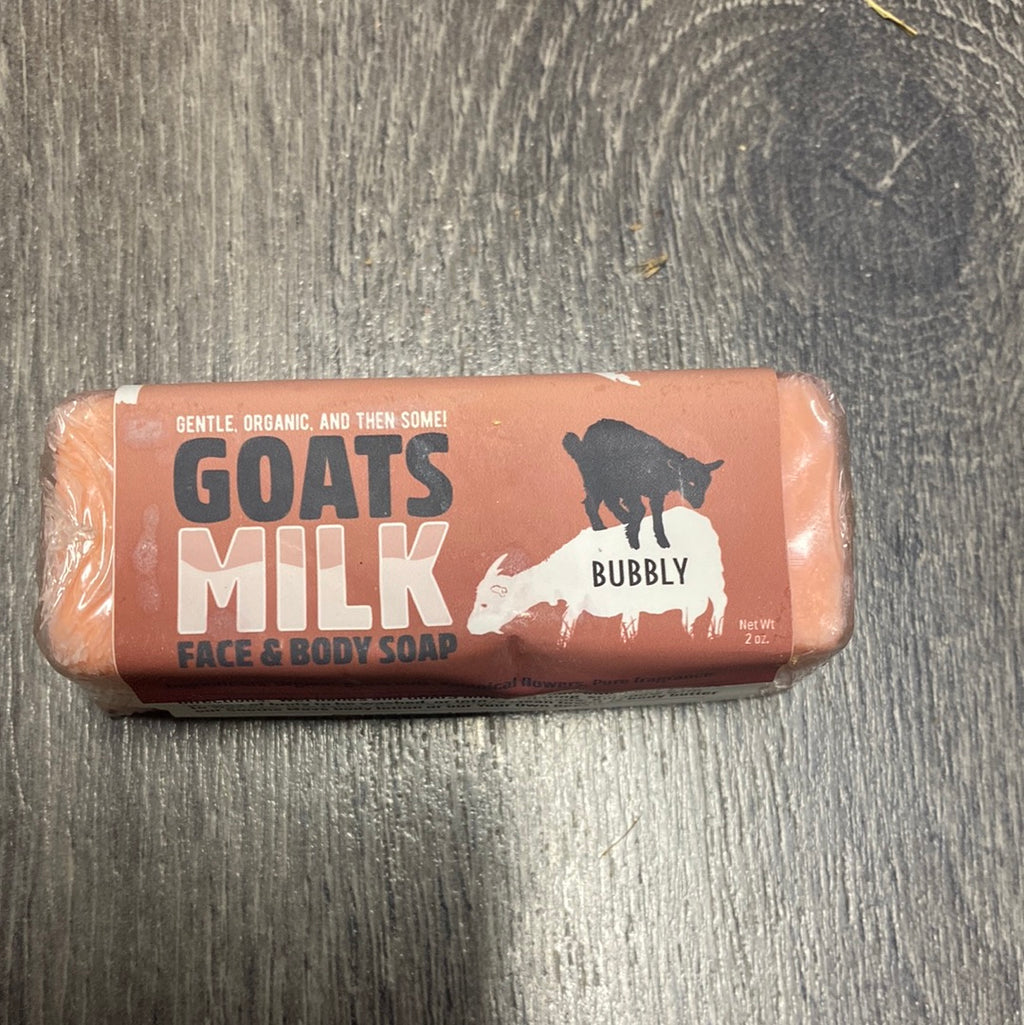 Goats Milk Soap Bar - Bubbly