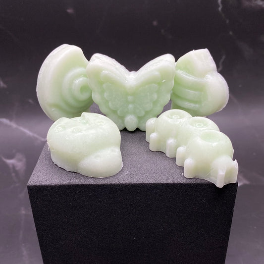 Custom Scented Wax Melts - Bugs - You Choose Scent/Color