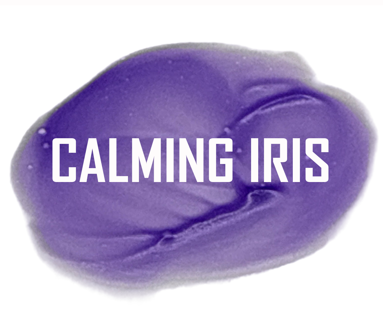 Distressed Paints - Rustic Butterfly Collection - (PRE-ORDER)