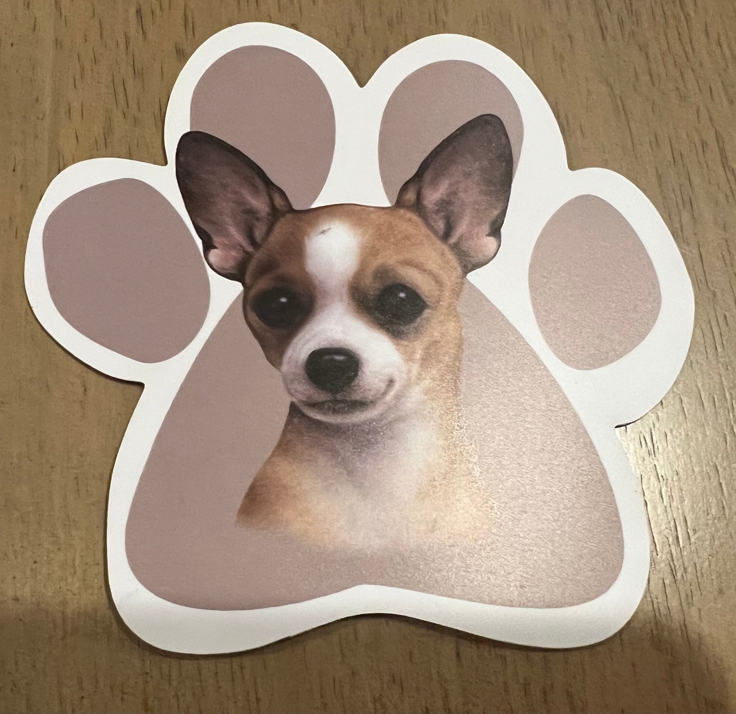 Chihuahua, Tan Paw Shaped Car Magnet