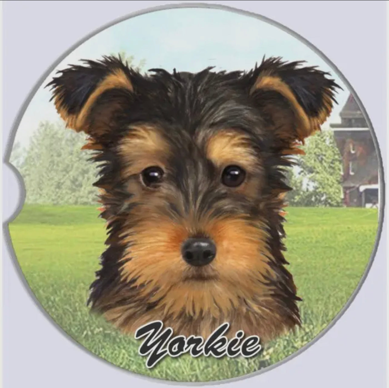 Yorkie, Puppy Cut Car Coaster