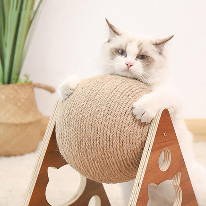 Interactive Cat Scratcher