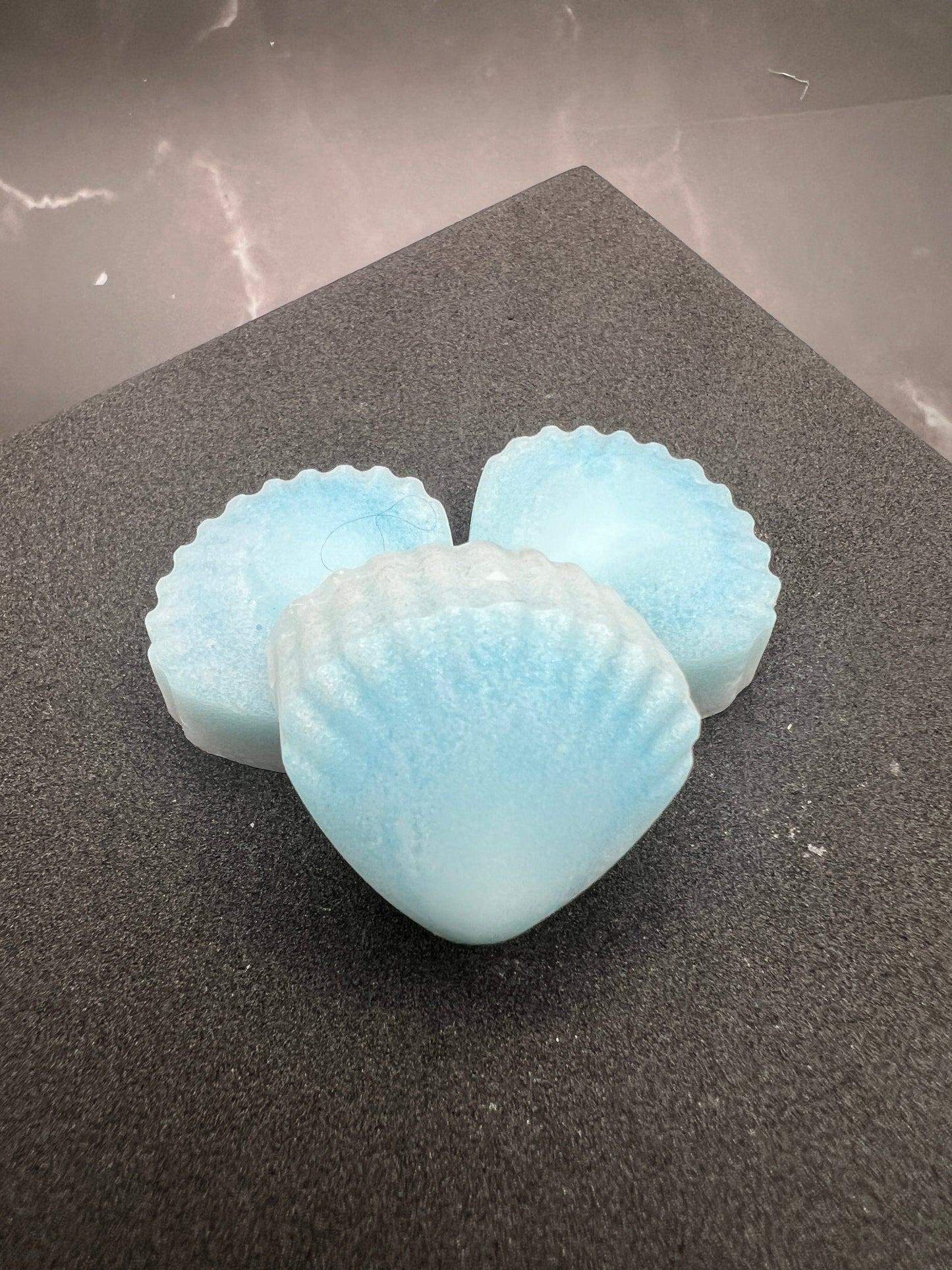 Custom Scented Wax Melts - Sea Shells - You Choose Scent/Color