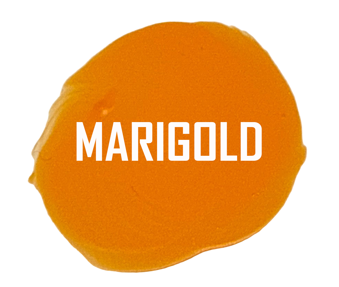 Distressed Paints - Rustic Butterfly Collection - (PRE-ORDER)