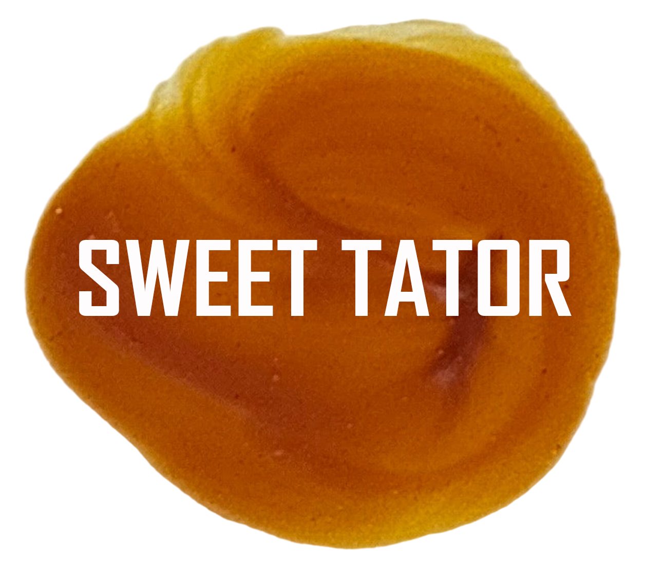 Distressed Paints - Rustic Butterfly Collection - (PRE-ORDER)