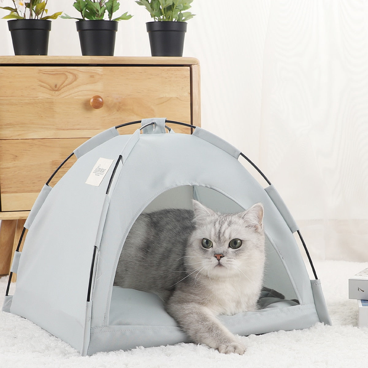 Pet Houses w Cushion