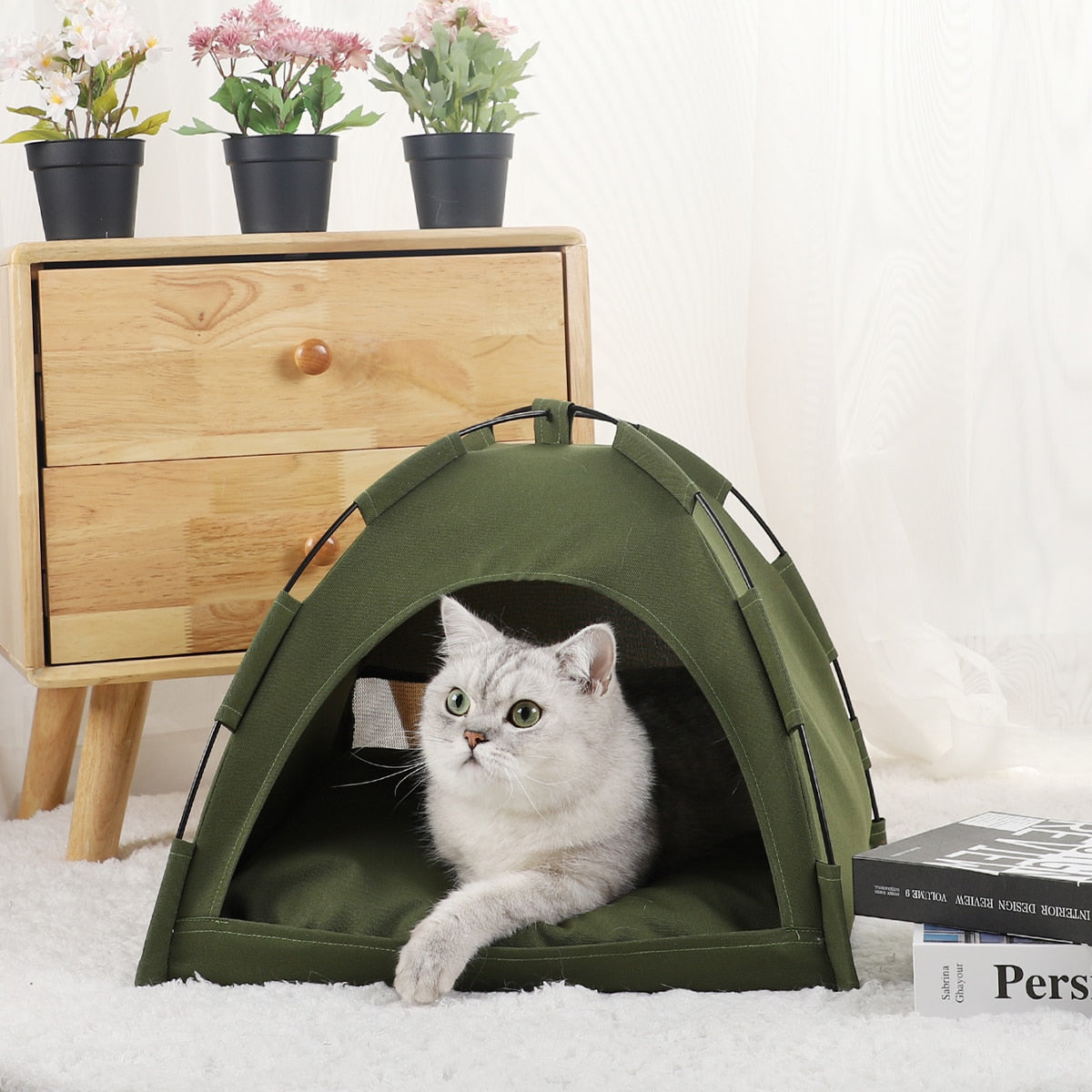 Pet Houses w Cushion