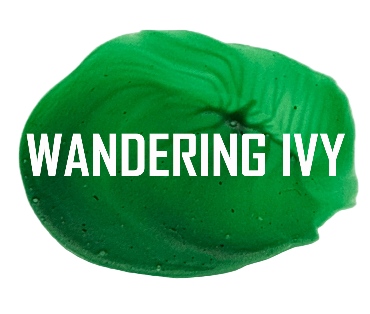 Distressed Paints - Rustic Butterfly Collection - (PRE-ORDER)