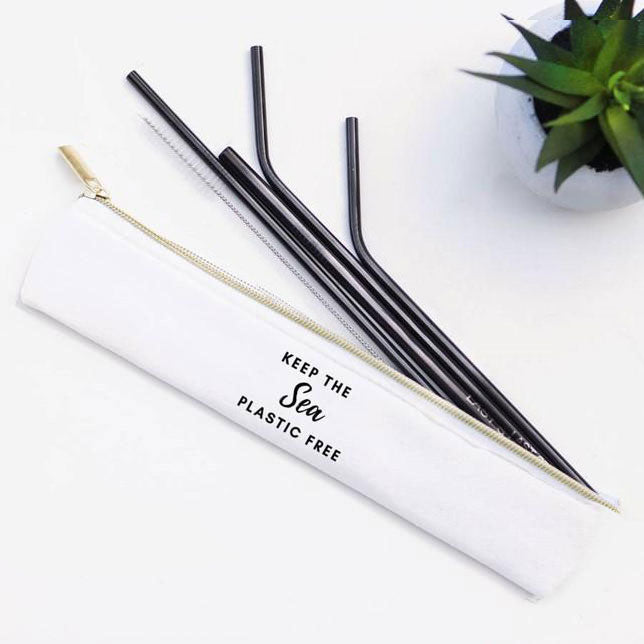 Stainless Steel Metal Straw Set