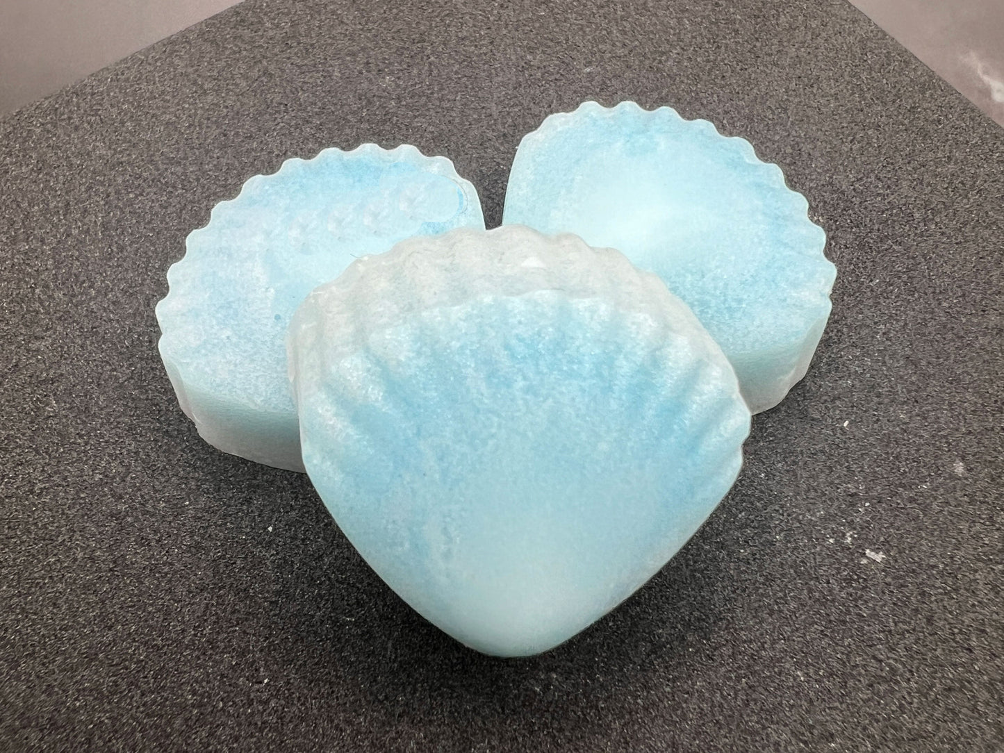 Custom Scented Wax Melts - Sea Shells - You Choose Scent/Color