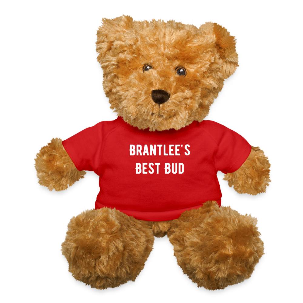 Teddy Bear - Customizable Text - red