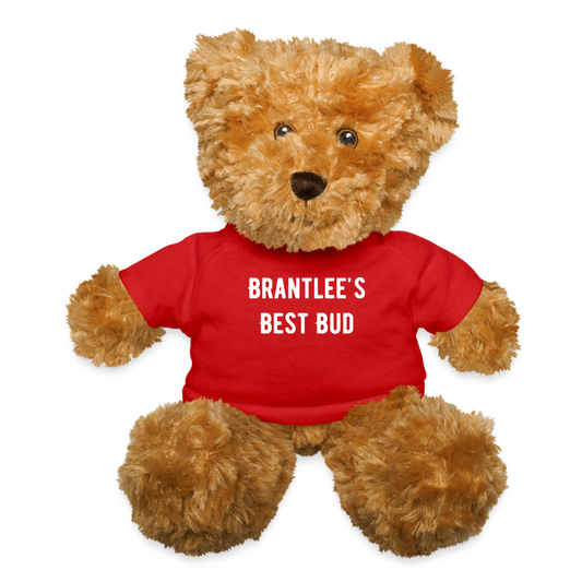 Teddy Bear - Customizable Text - red