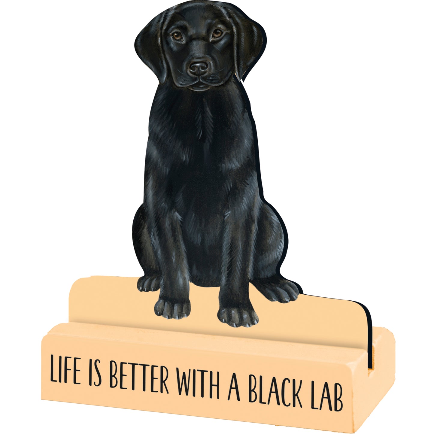 Stand Up - Lab Black