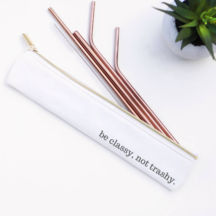 Stainless Steel Metal Straw Set