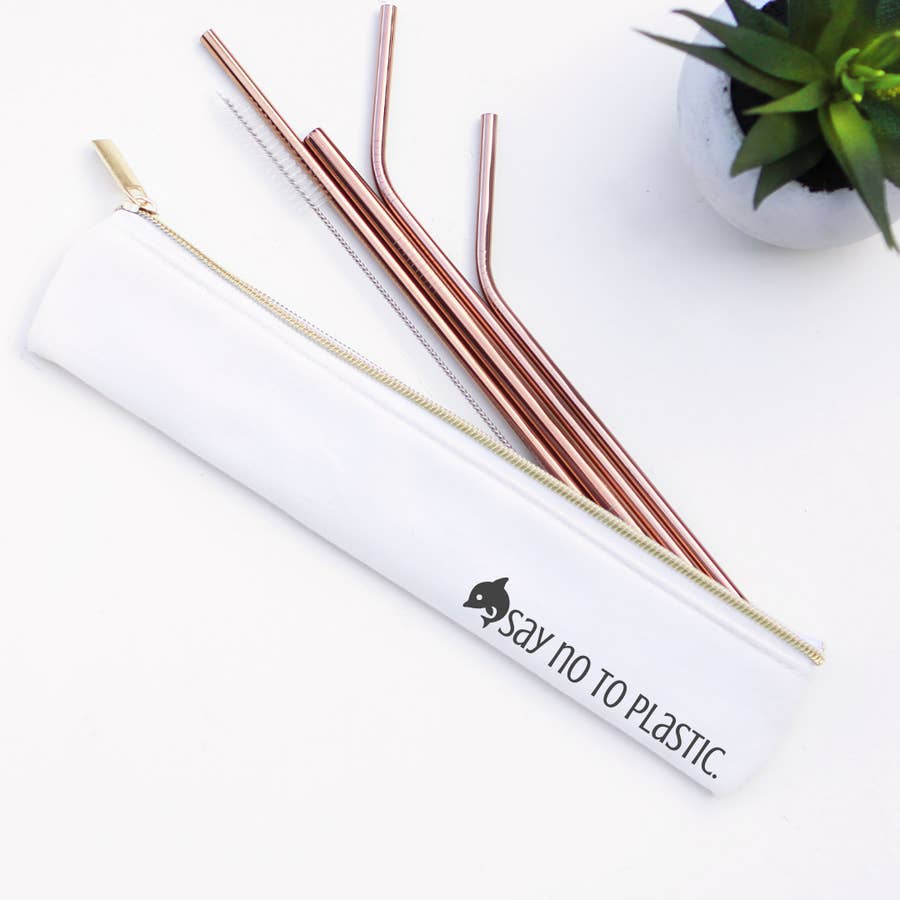 Stainless Steel Metal Straw Set