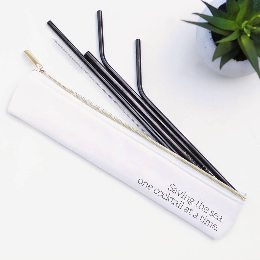 Stainless Steel Metal Straw Set