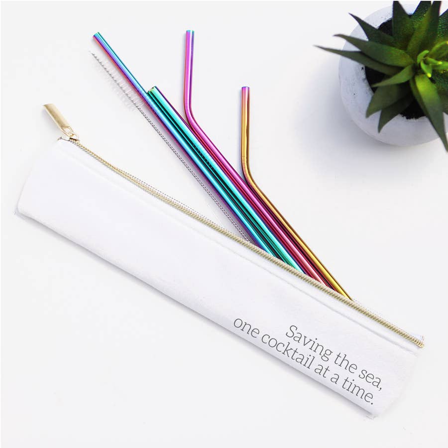 Stainless Steel Metal Straw Set