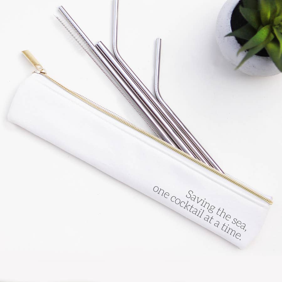 Stainless Steel Metal Straw Set