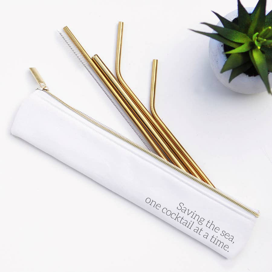 Stainless Steel Metal Straw Set