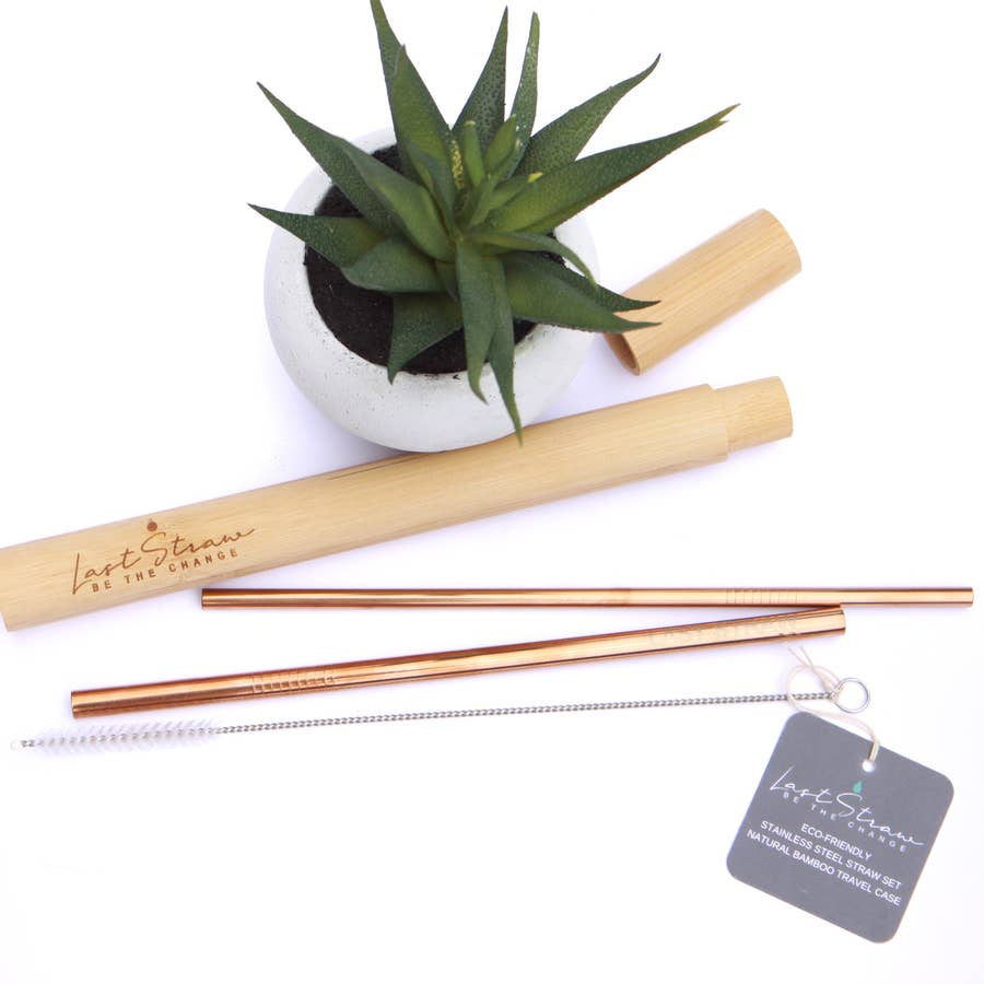 Stainless Steel Metal Straw Set Bamboo Case