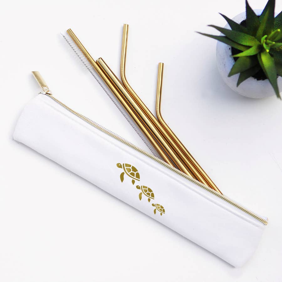 Stainless Steel Metal Straw Set