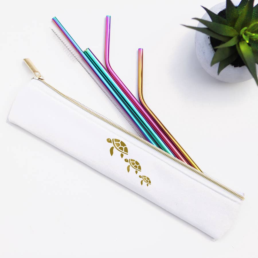 Stainless Steel Metal Straw Set