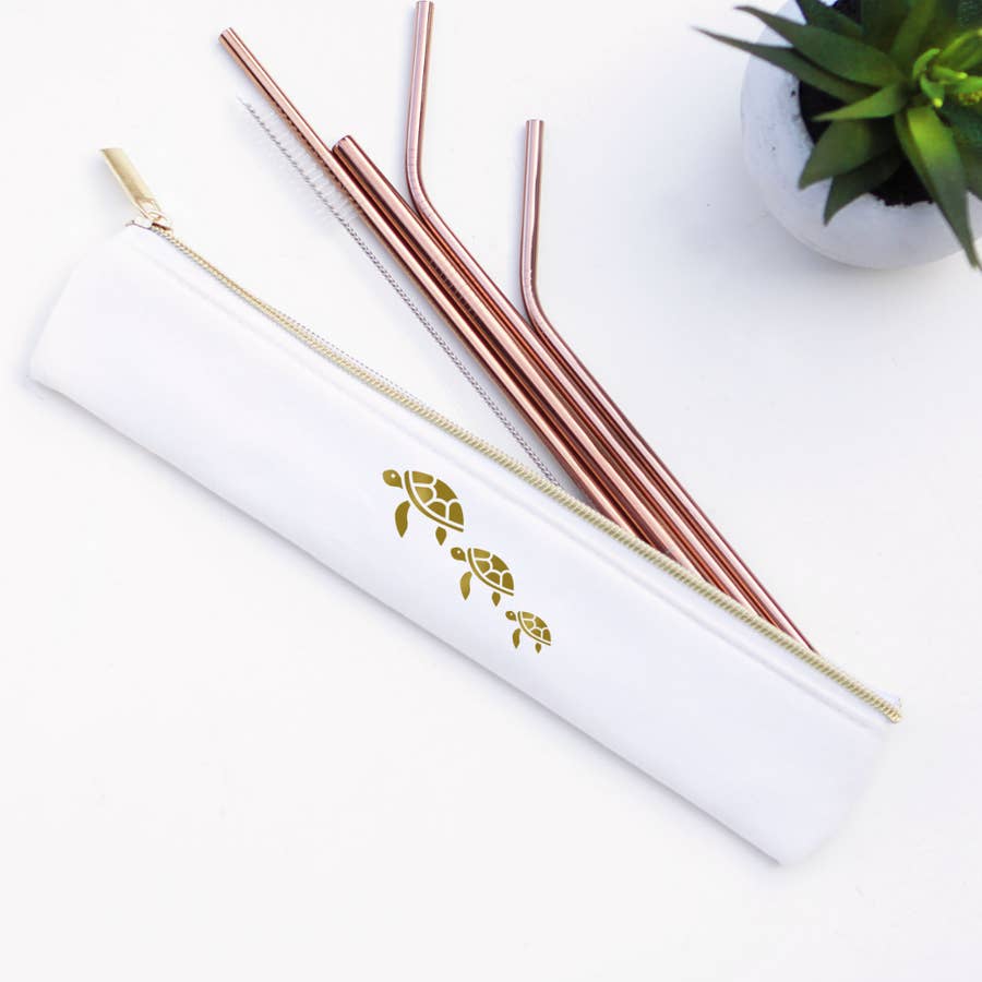 Stainless Steel Metal Straw Set