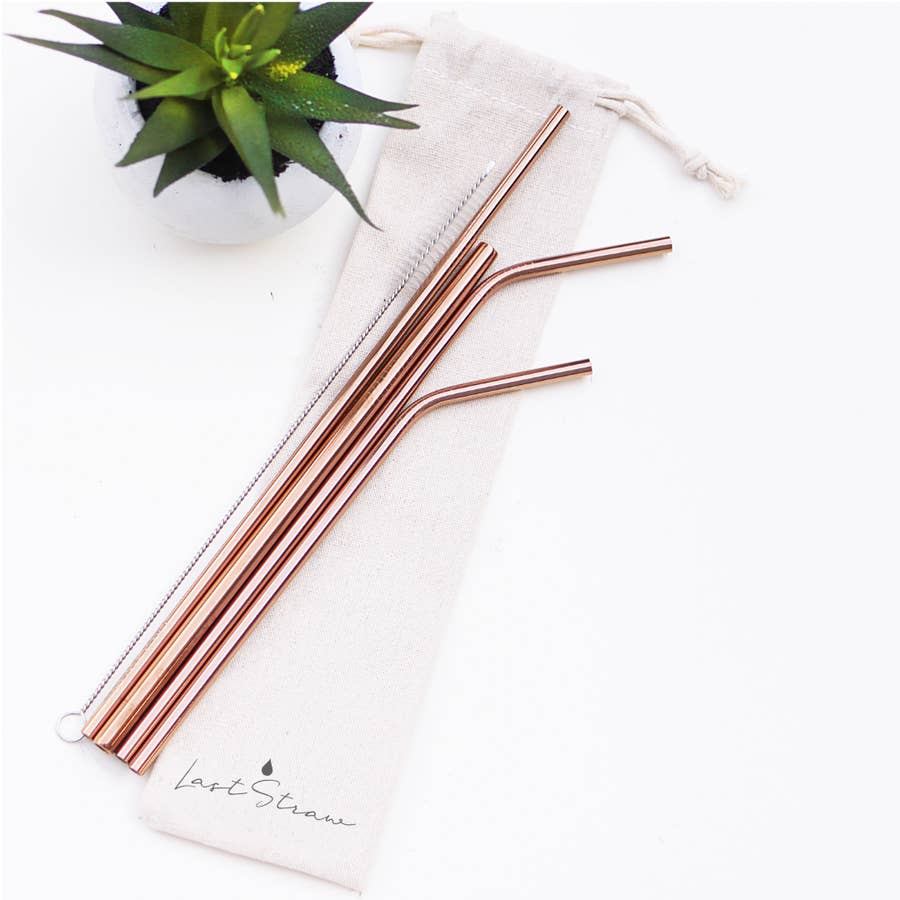 Stainless Steel Metal Straw Set