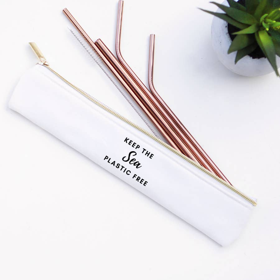 Stainless Steel Metal Straw Set