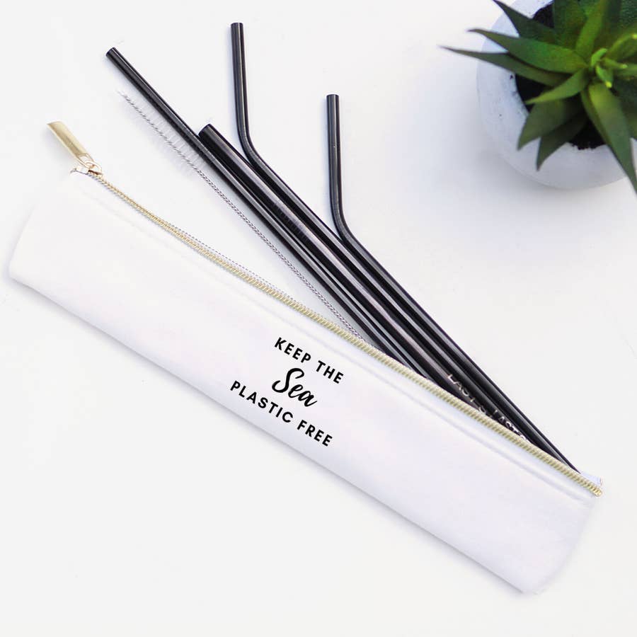 Stainless Steel Metal Straw Set