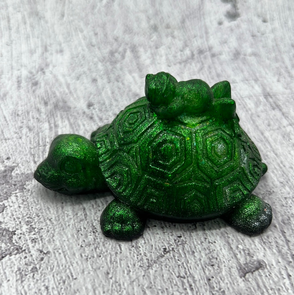 Turtle with frog on the back
