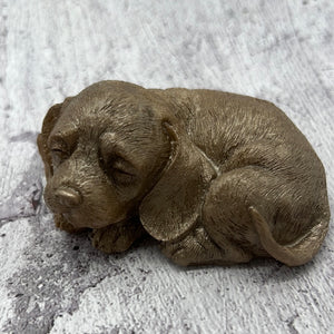 3D laying dog